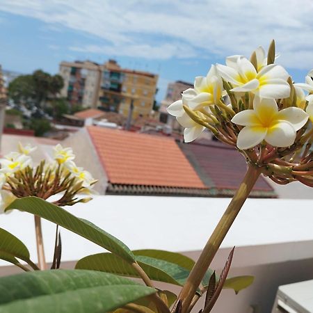 Apartamento Plumaria Малага Экстерьер фото